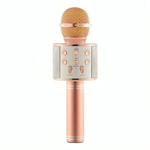 Wireless microphone hifi speaker SM32512S