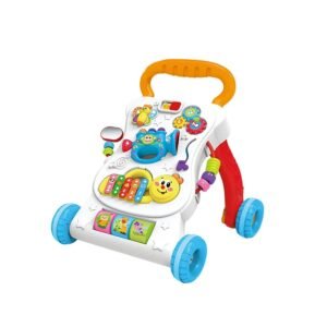 Multi-functional walker ST0021492M-B