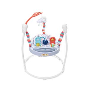 Family deluxe infant jumper 27281