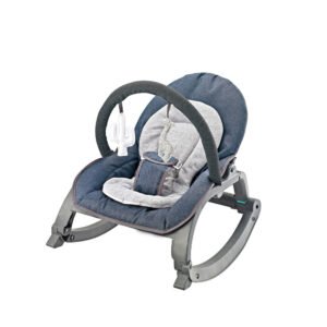 Family deluxe infants portable rocker 27273